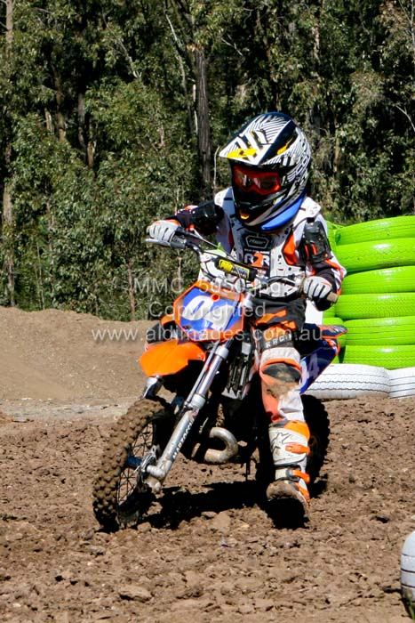 445x677 pixels (103K)